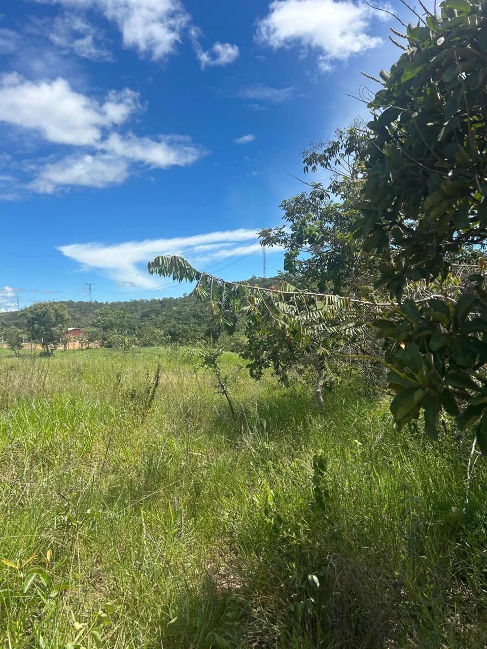 Foto - Anápolis - Jundiaí