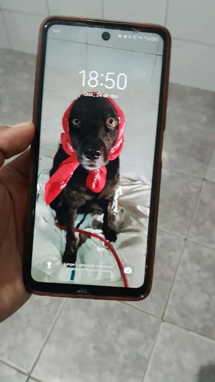 Tecno go spark 2024 - Foto 4