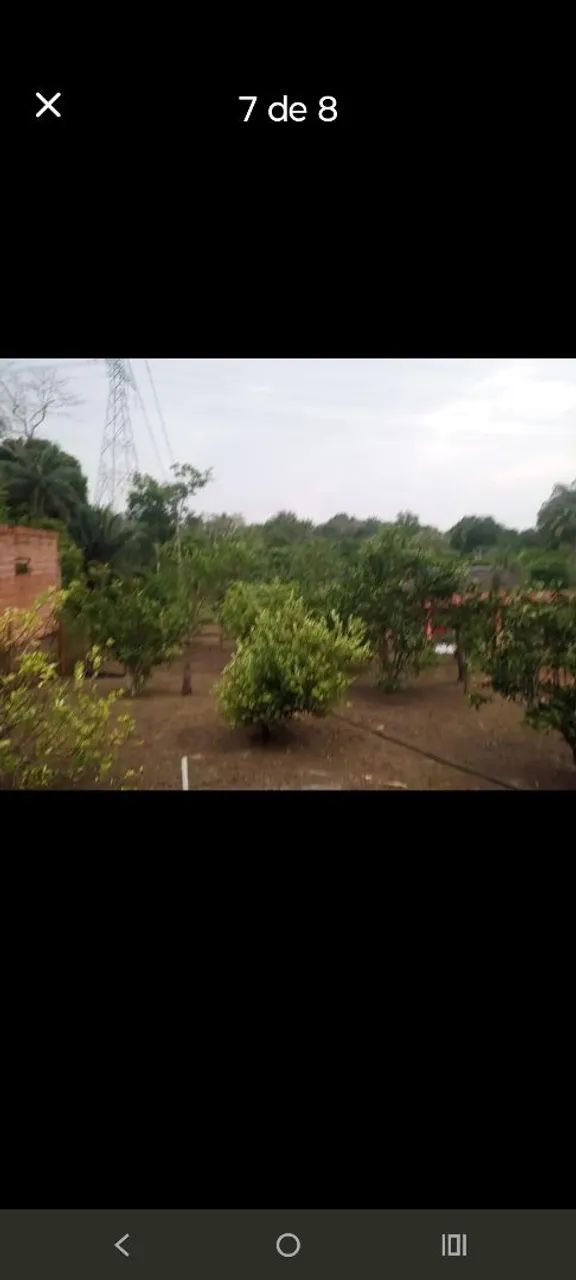 Vende se este sítio Med 10x110 - Foto 2
