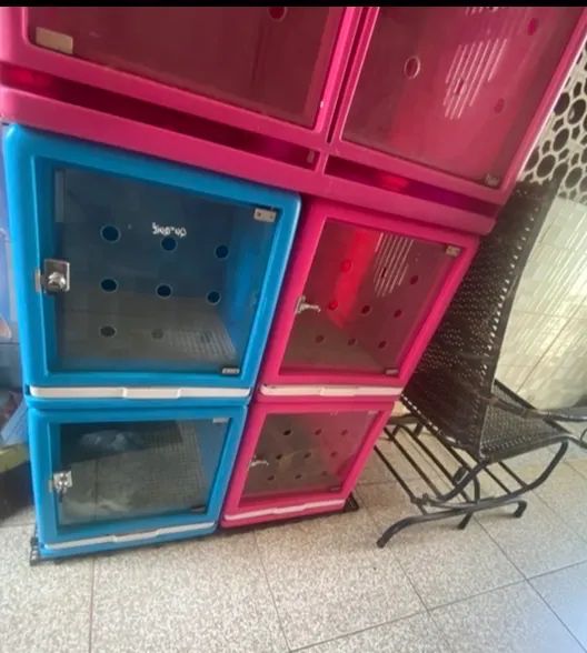 Canil Pet para banho e tosa  - Foto 5