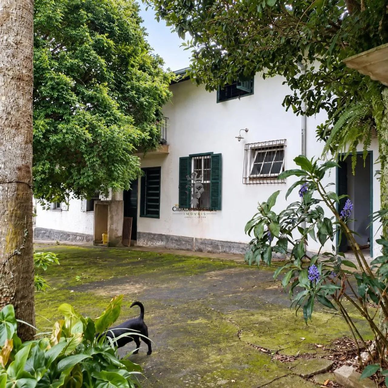 MOSELA VENDO CASA TIPO DE CAMPO COM 3 QUARTOS COM GARAGEM - Foto 3