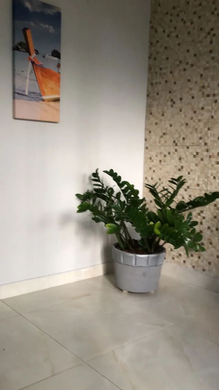 Aluguel apartamento 