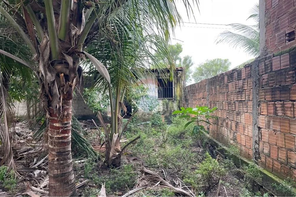 Terreno em Tamandaré, PE - 360m² - Foto 5