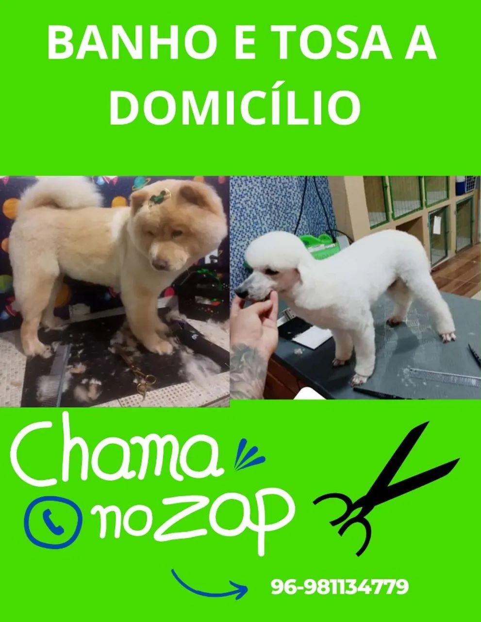 Atendimento a domicílio 