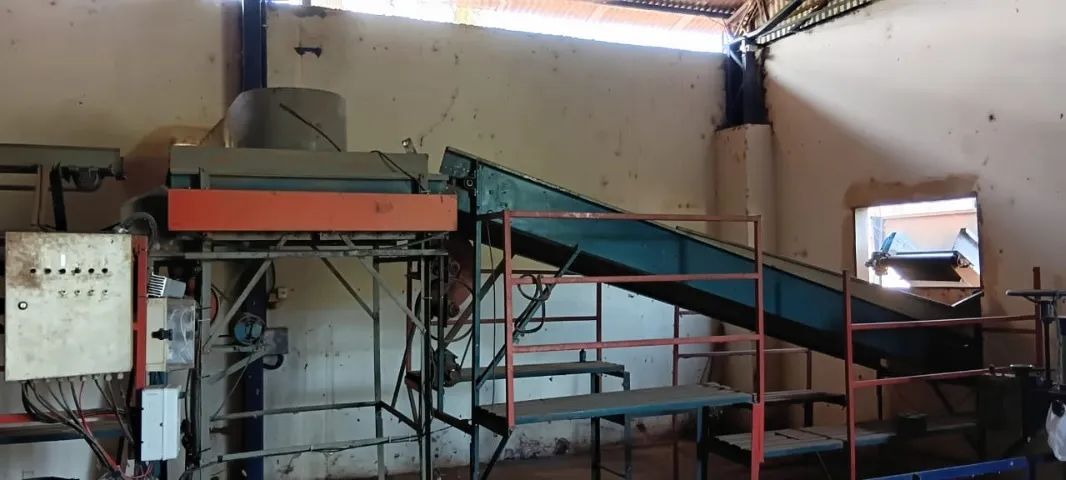 MÁQUINA CLASSIFICADORA E SELECIONADORA DE CEBOLAS - LINHA COMPLETA - Foto 3