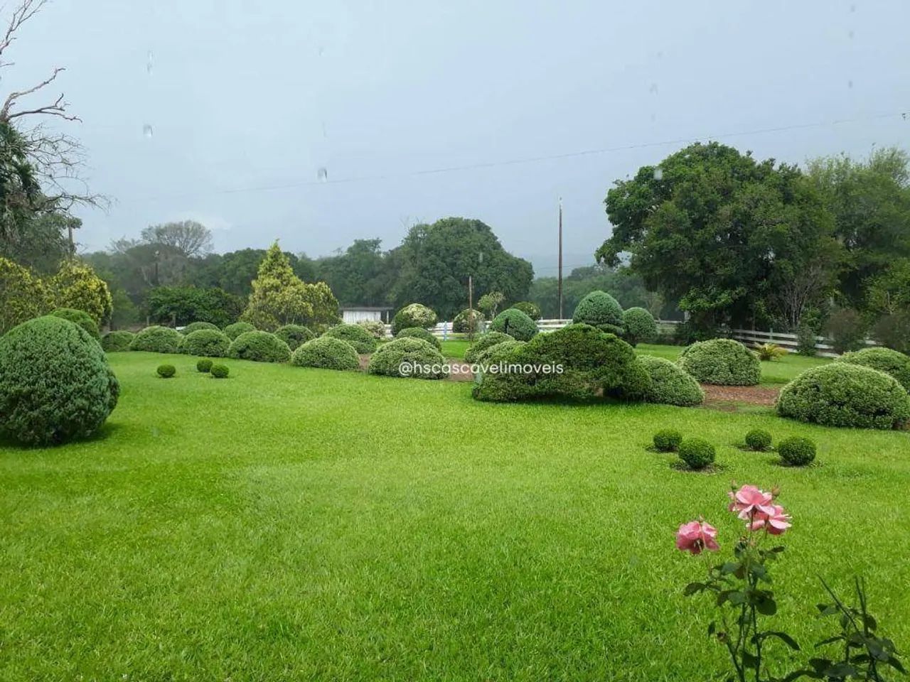 Sitio Próximo a Cascavel - Foto 3