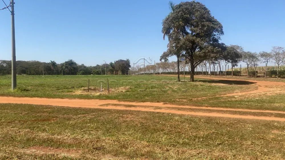 Terreno Condomínio - Foto 2
