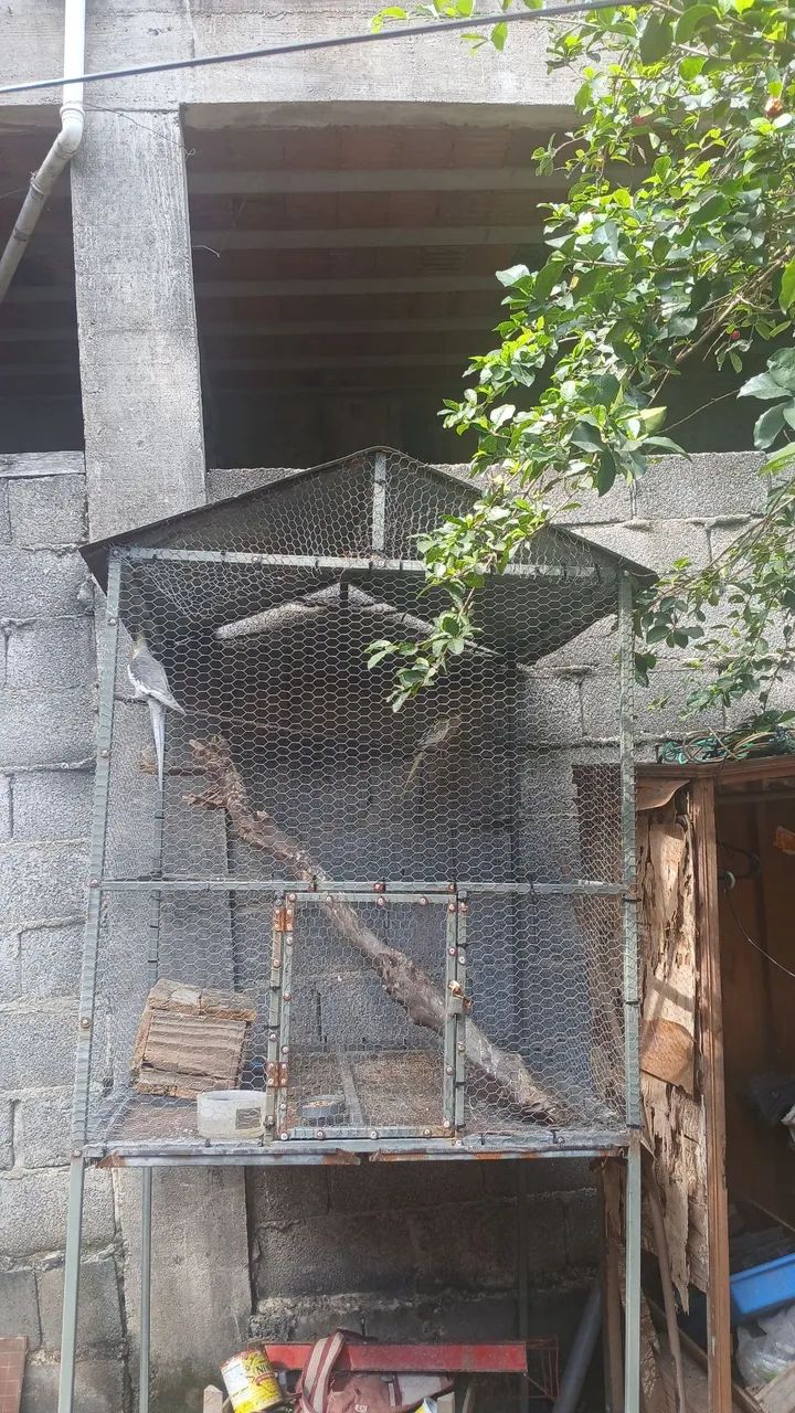 Vendo viveiro. 