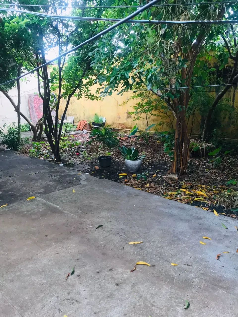 ÁREA COMERCIAL C/ 2 CASAS E SALA - GOIÂNIA-GO - Foto 5