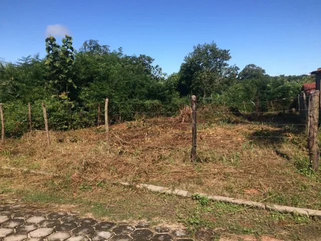 Terreno em Bacabeira  - Foto 4