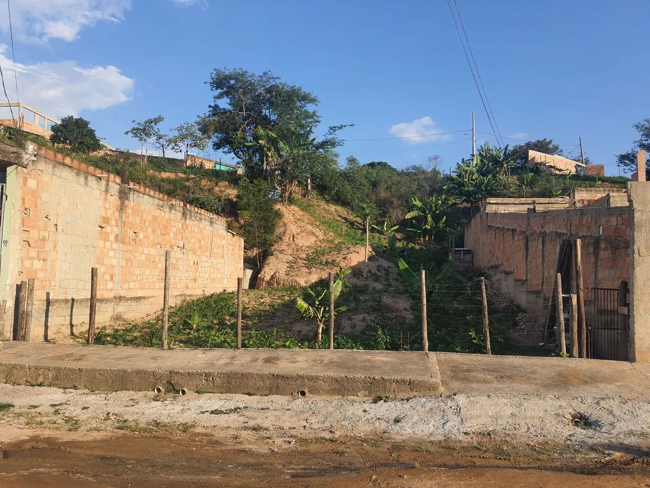 Lote - Foto 2