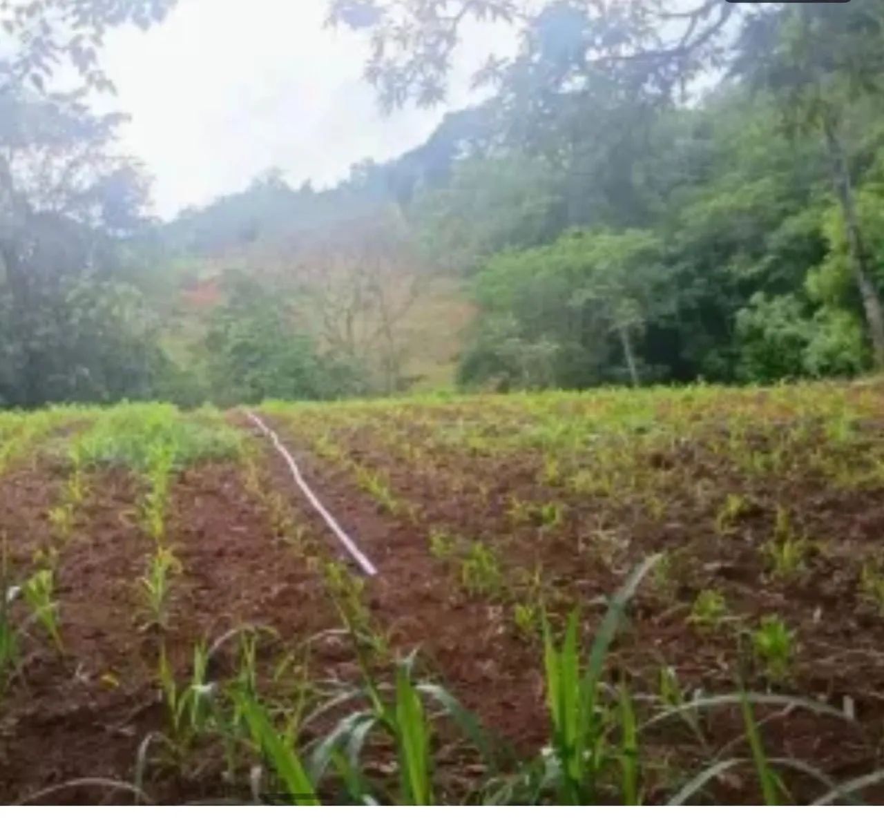 Foto - Brasília - Setor Residencial Leste (Planaltina)