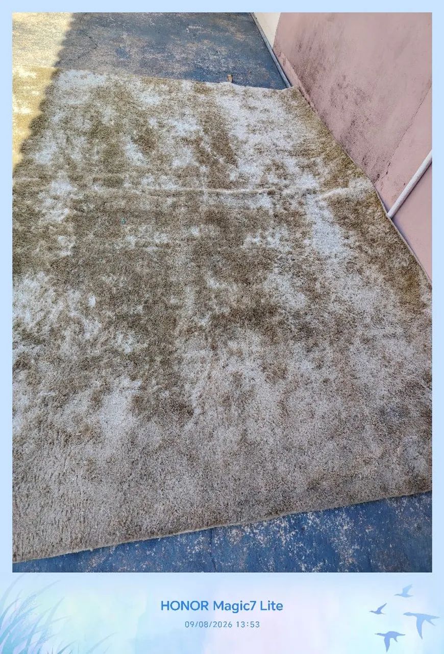 Tapete para sala 