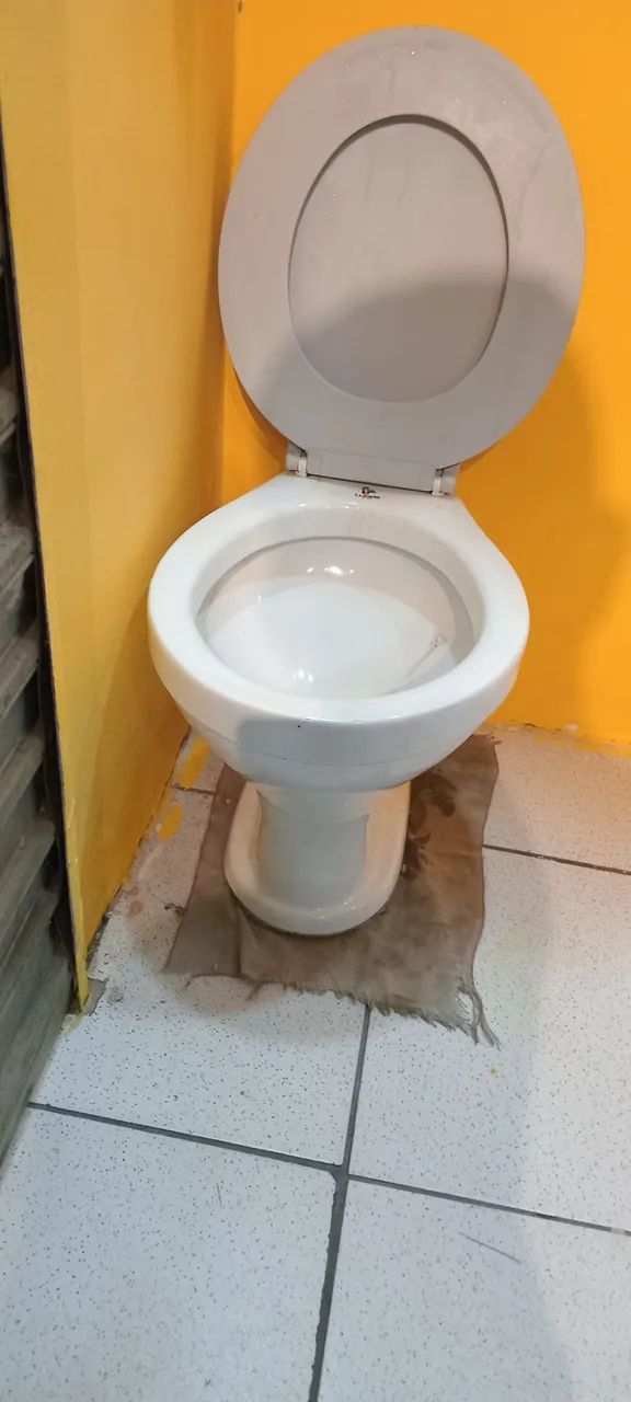 Vendo vaso sanitário,com Acento e caixa de descarga, usado em perfeito estado 