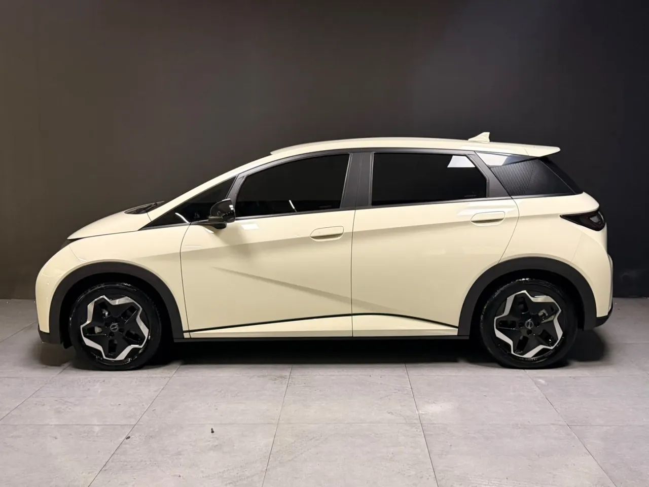 BYD Dolphin Mini (Elétrico) 2024 - Foto 5