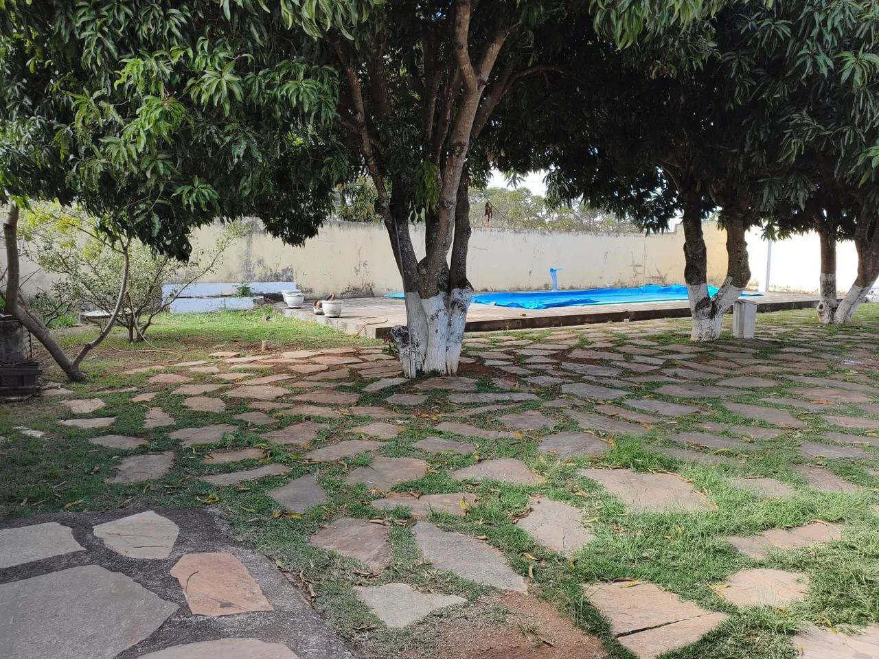 Vendo casa de 5 quartos na Ponte Alta - Foto 4