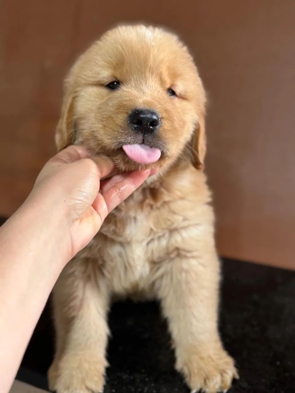 Golden
