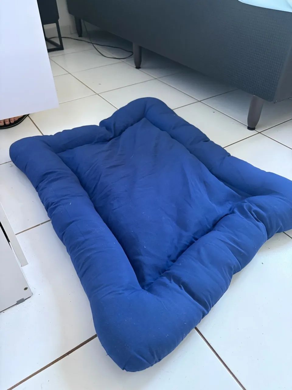 Caminha pra cachorro e gato - Foto 2