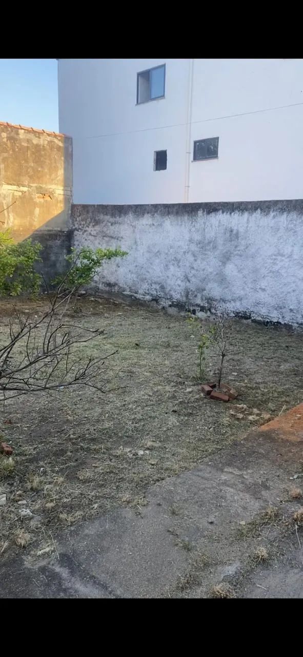 Limpeza de terreno com Roçadeira  - Foto 5