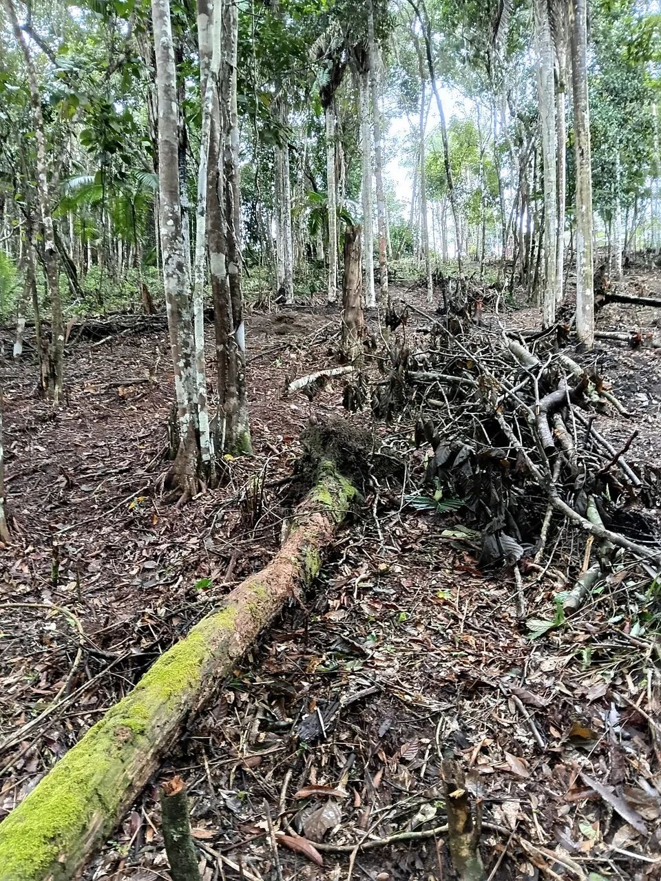 Ótimo lugar 