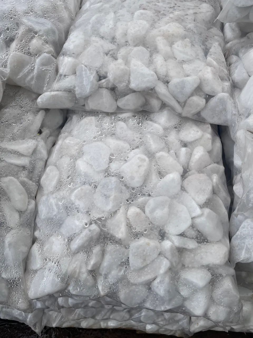 Seixo N3