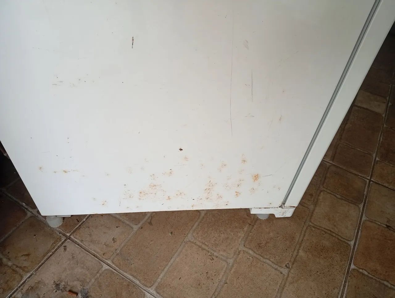 Geladeira Eletrolux Degelo - Foto 4