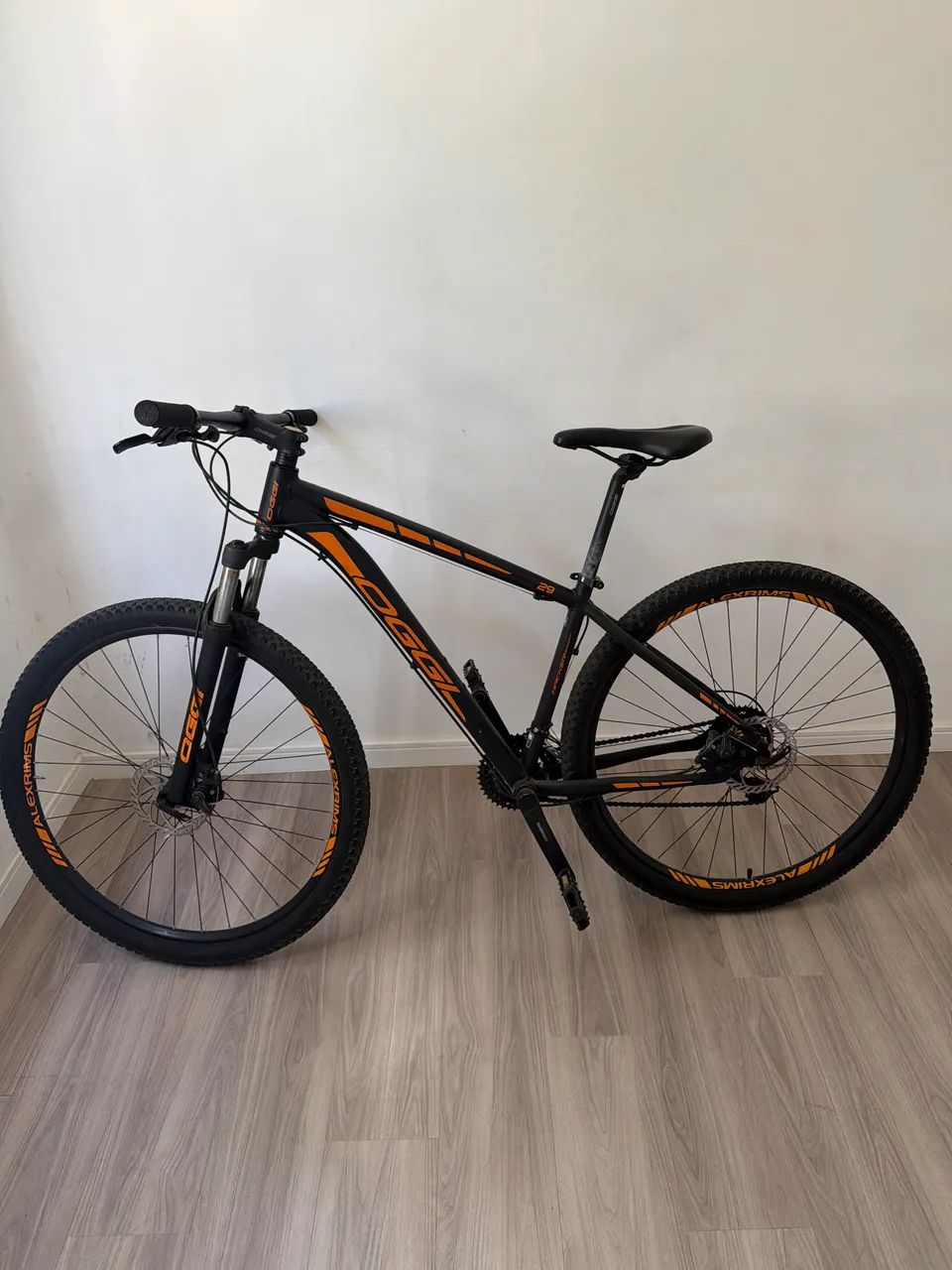 Bicicleta Oggi