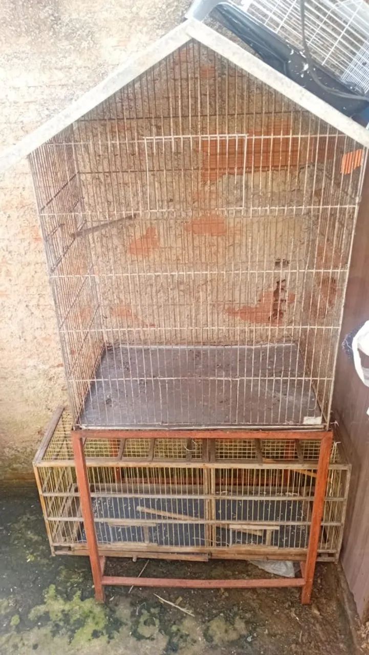 Vendo gaiola 