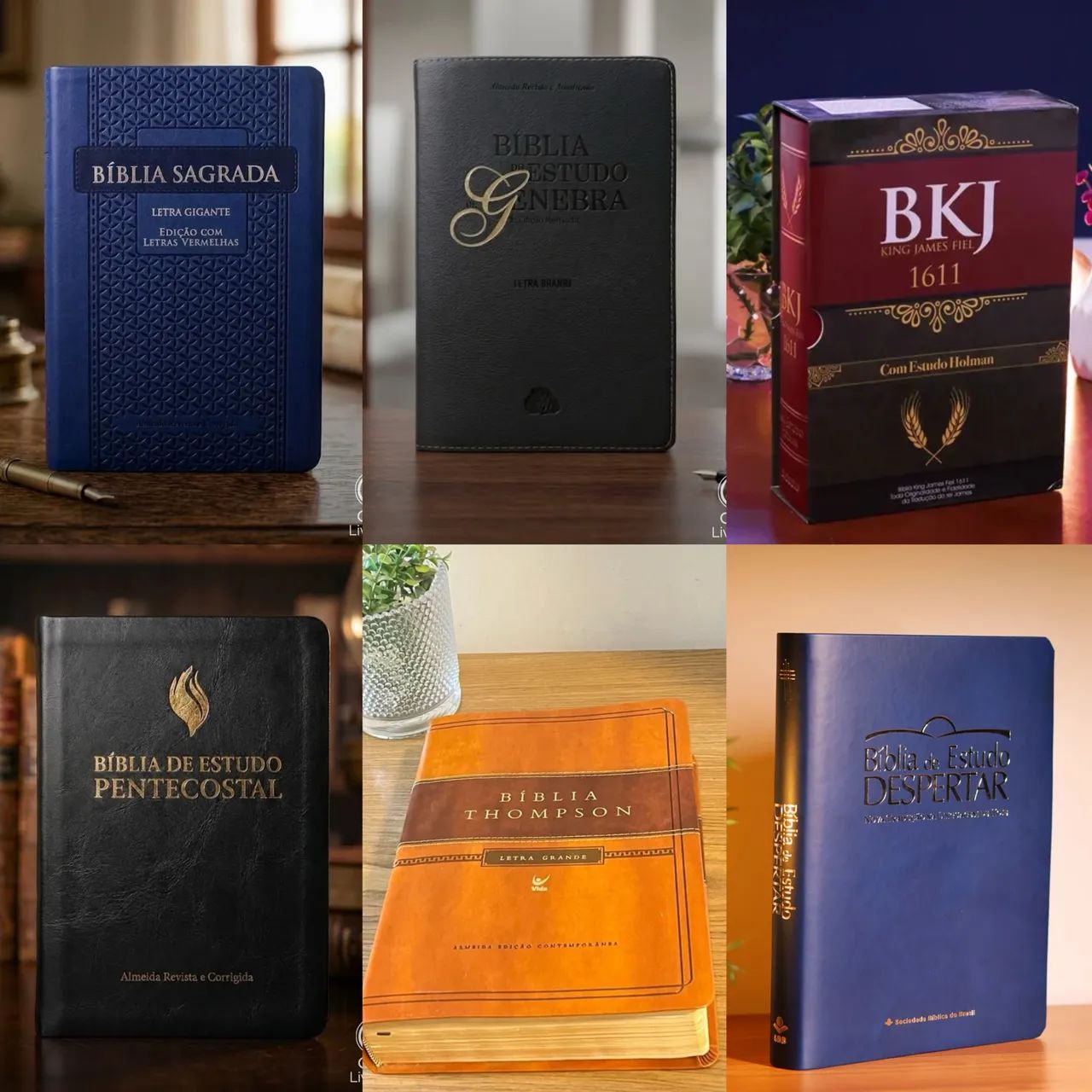 Bíblia  - Foto 5