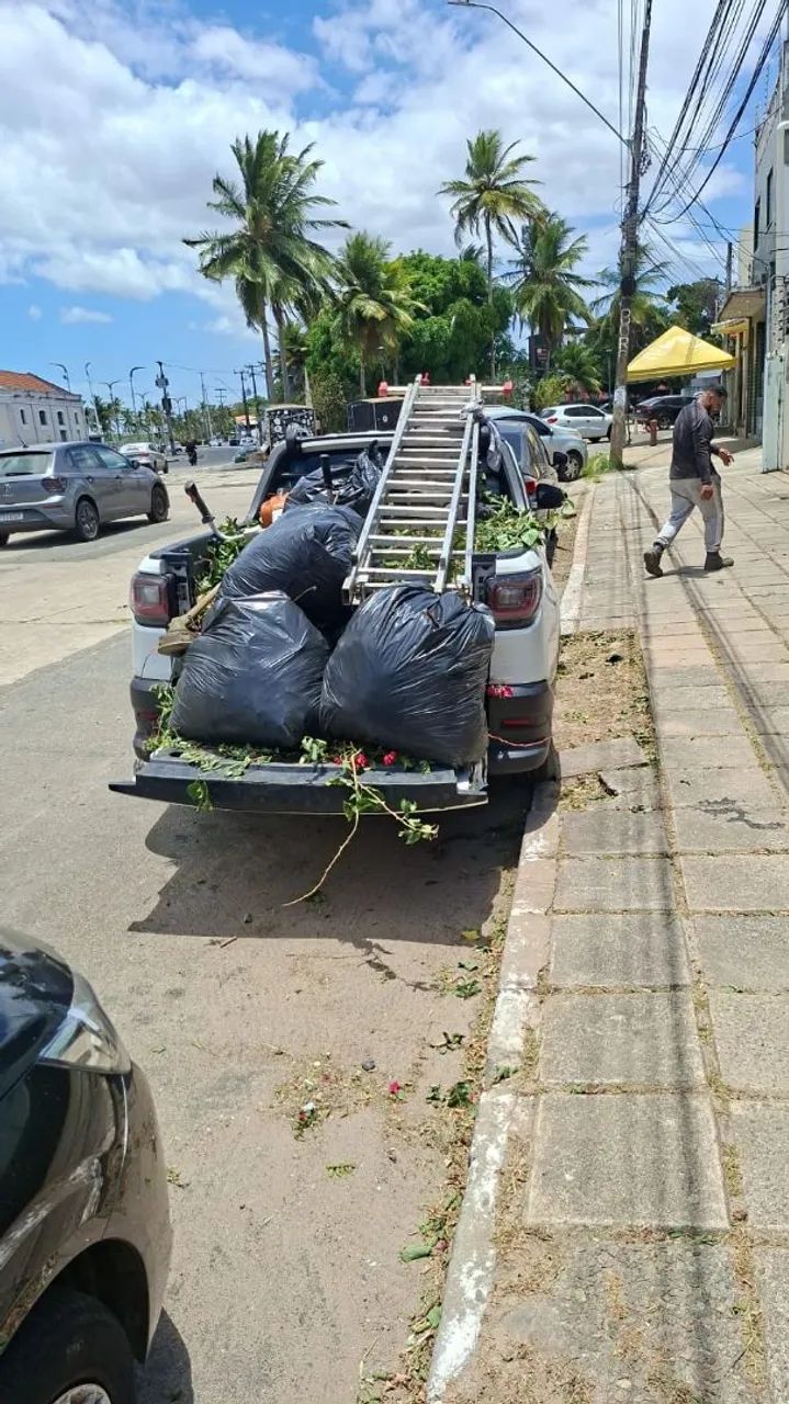 Corte árvores  aplicação  de veneno  capina e roçagem  - Foto 5
