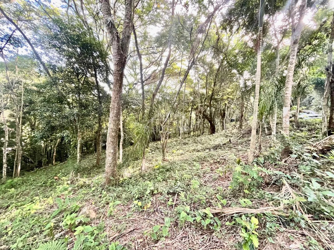 Terreno PRAIA DO SIRIÚ - OPORTUNIDADE - Foto 4