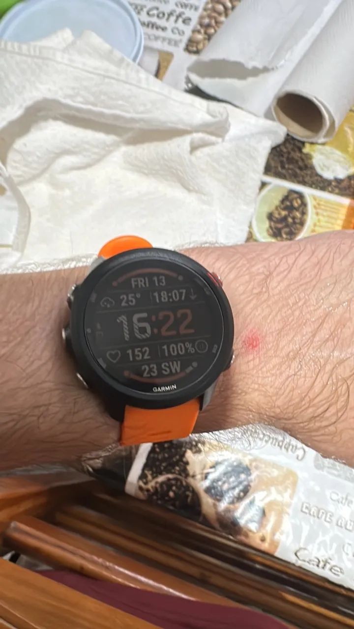 Garmin Forerunner 245 Music - Foto 2
