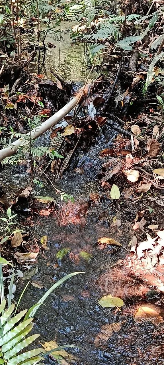 Terreno em Pirenópolis com rio 72980-000 - Foto 4