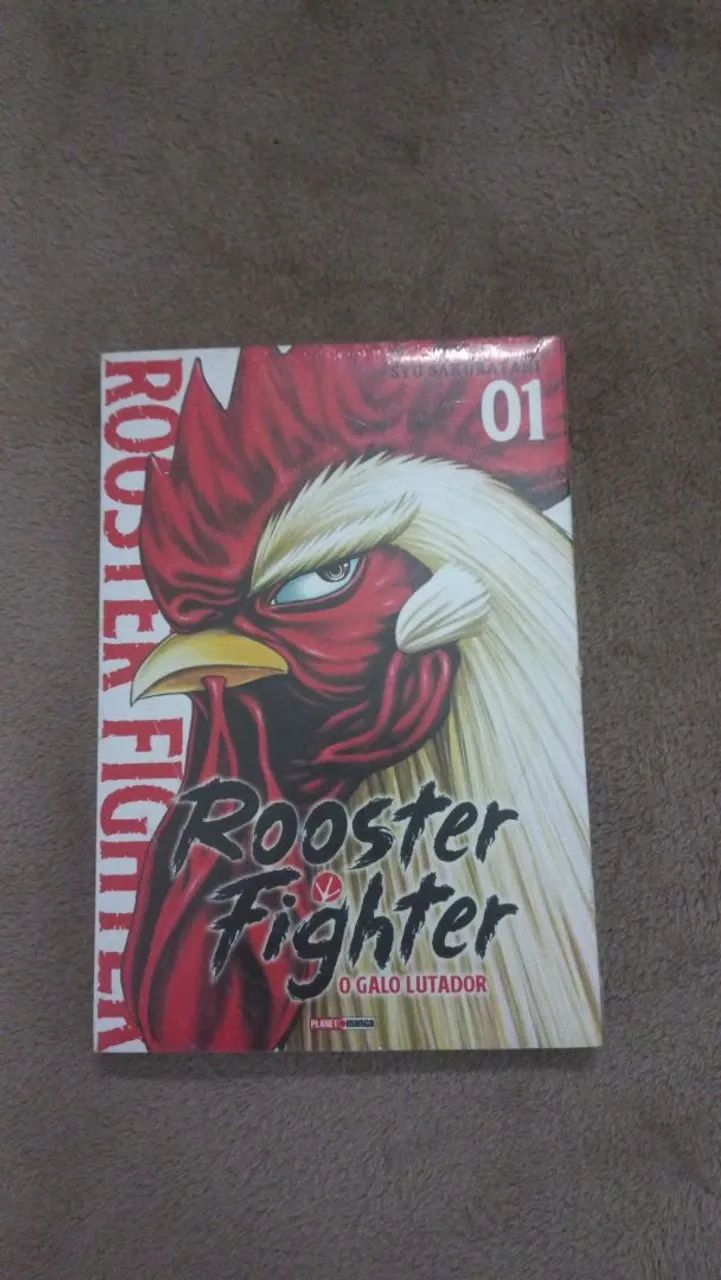 Rooster fighter 