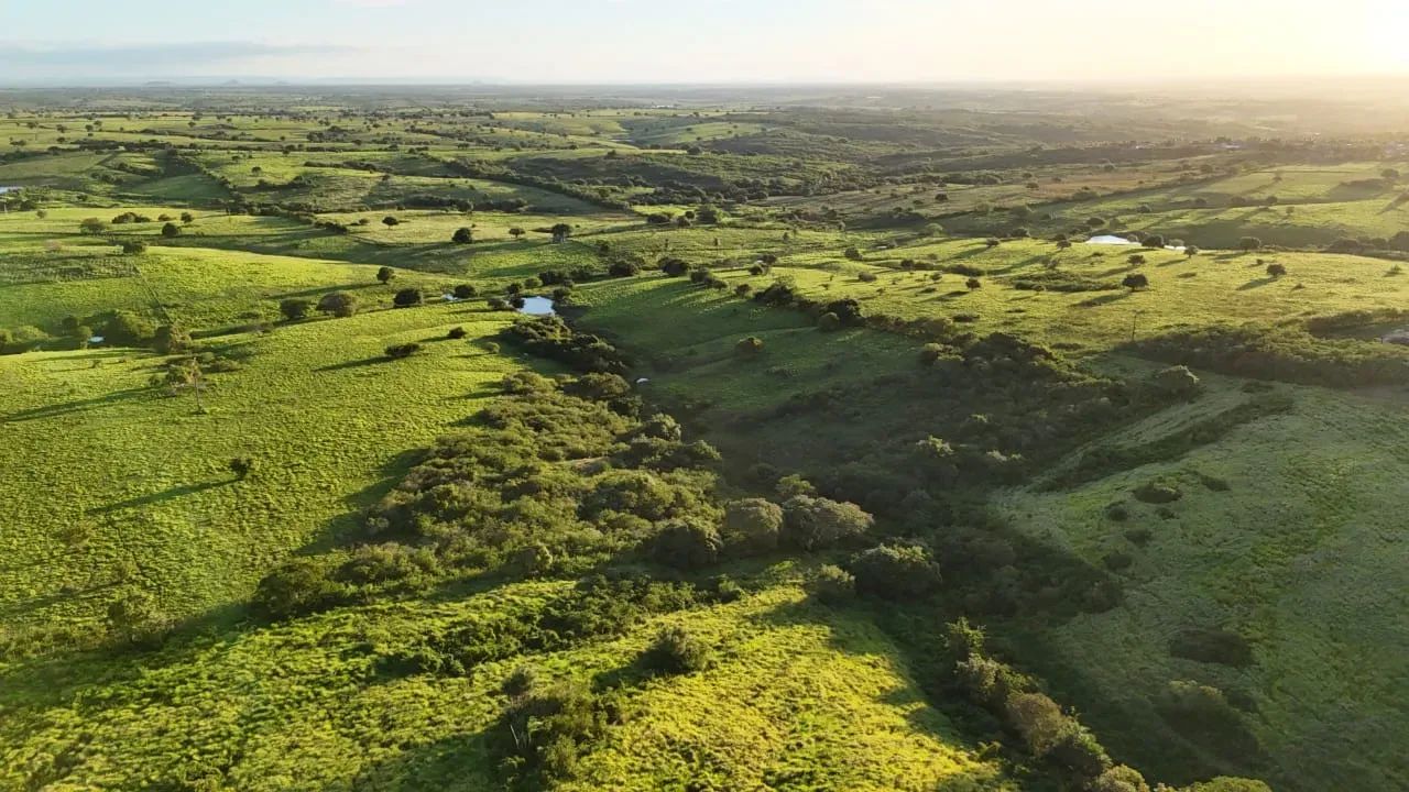 fazenda com 120 hectares na região de Monte Alegre - Foto 2