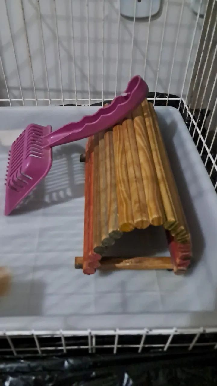 Gaiola usada para porquinho da India 65576072871682121