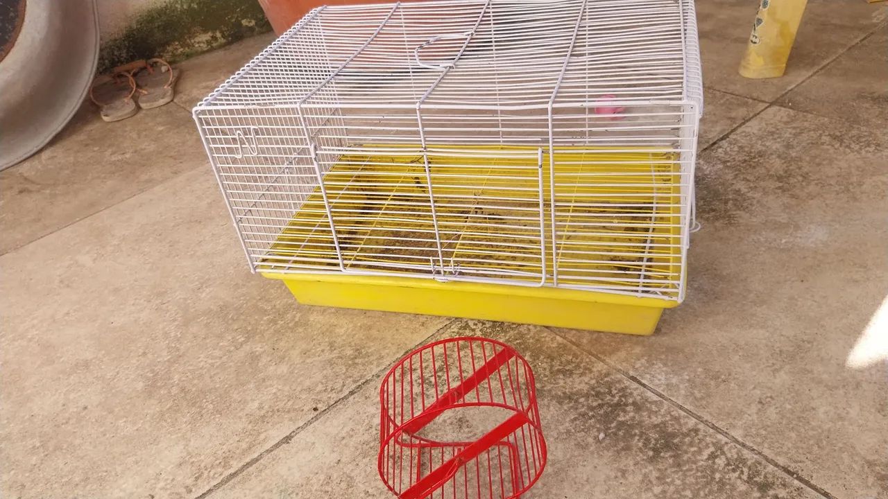 Gaiola de hamster com rodinha - Foto 2