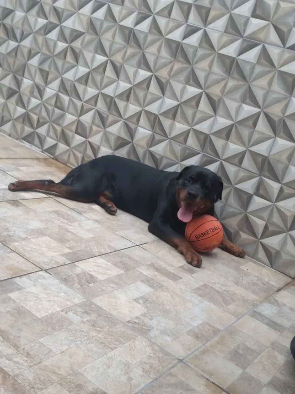 Doação - Foto 2