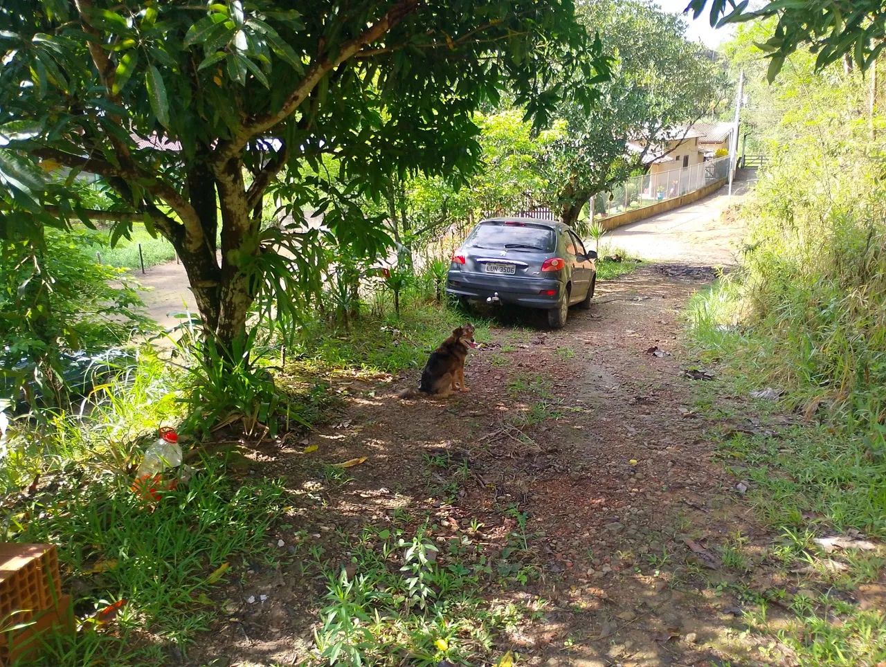 Terreno / chácara em pinheiral - Foto 3