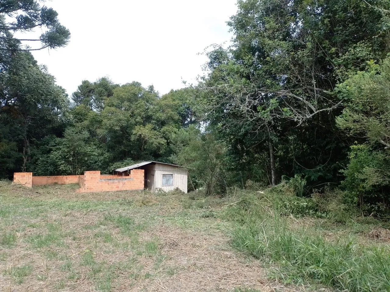 Sítio água azul - Foto 4