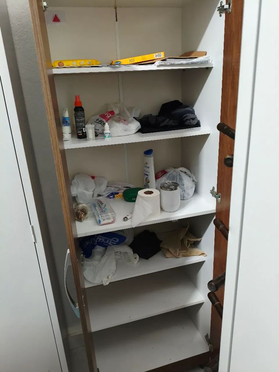 Sapateira  - Foto 2
