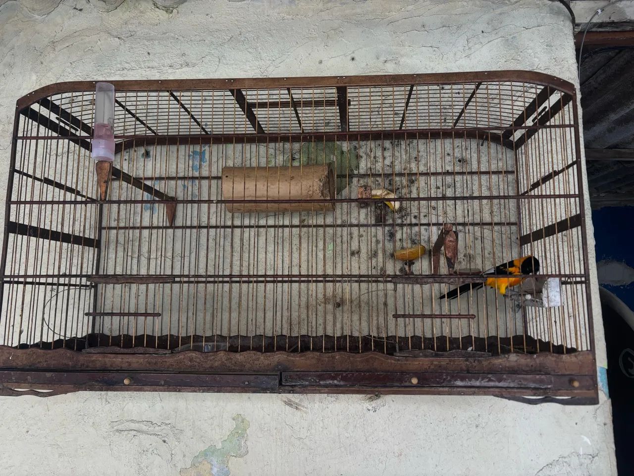 Gaiola  - Foto 5