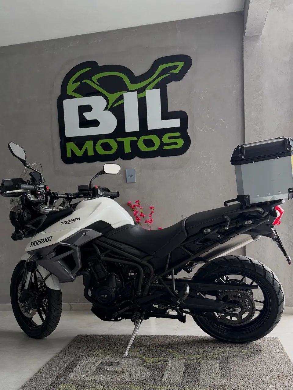 Tiger 800 xr