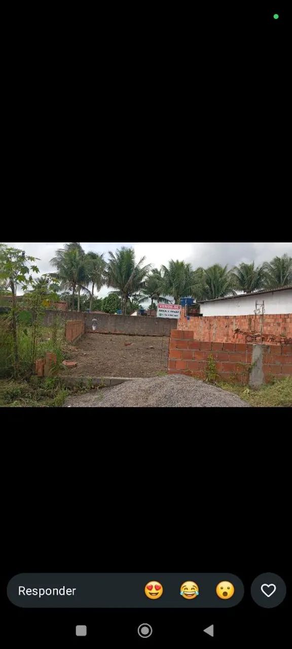 Terreno plano - Foto 4