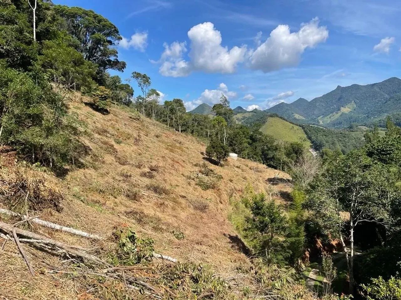 Terreno São Pedro Da Serra - Foto 4