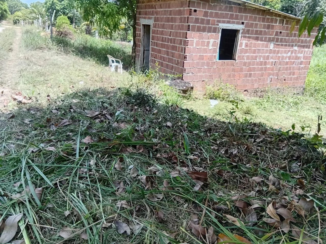 Terreno - Foto 2