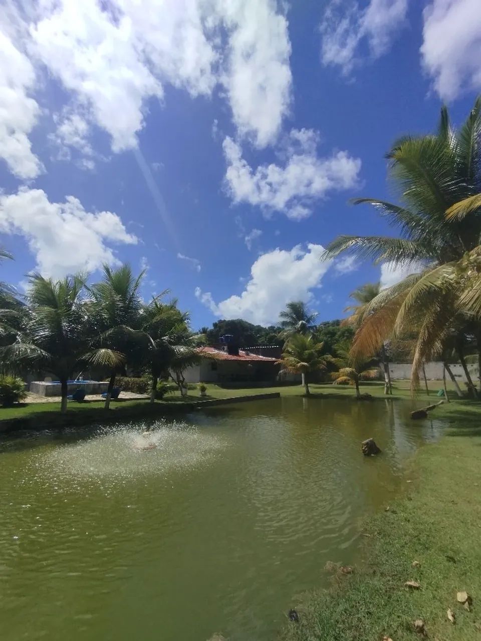 BARRA NOVA, EVENTOS E TEMPORADA  - Foto 5