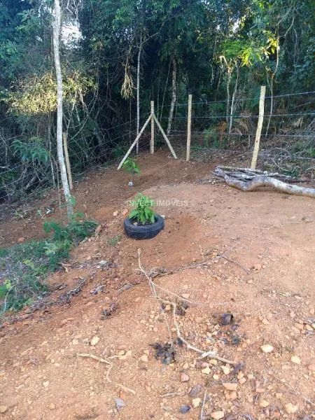 Terreno - Chácara MG - Foto 4