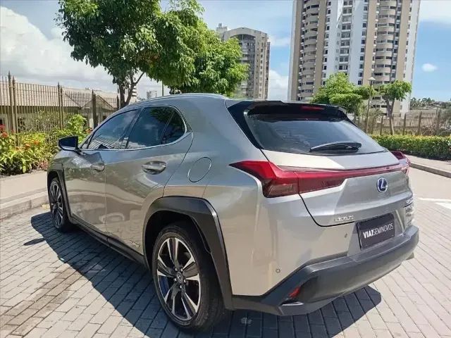 Lexus UX-250h Luxury 2.0 16V Aut.(hybrid), foto 6 de 14