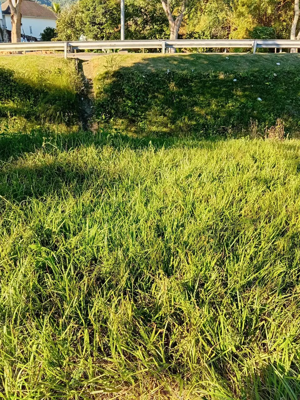 Tdv - Foto 2